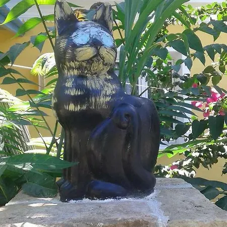 Apartamento La Gatta Gaios